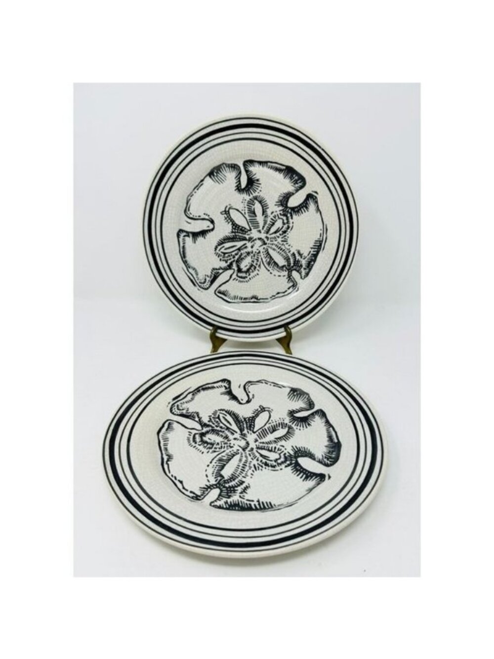 POTTERY BARN SAND DOLLAR Dinner Luncheon Plates Set of 2 ~Beach Coastal Nautical